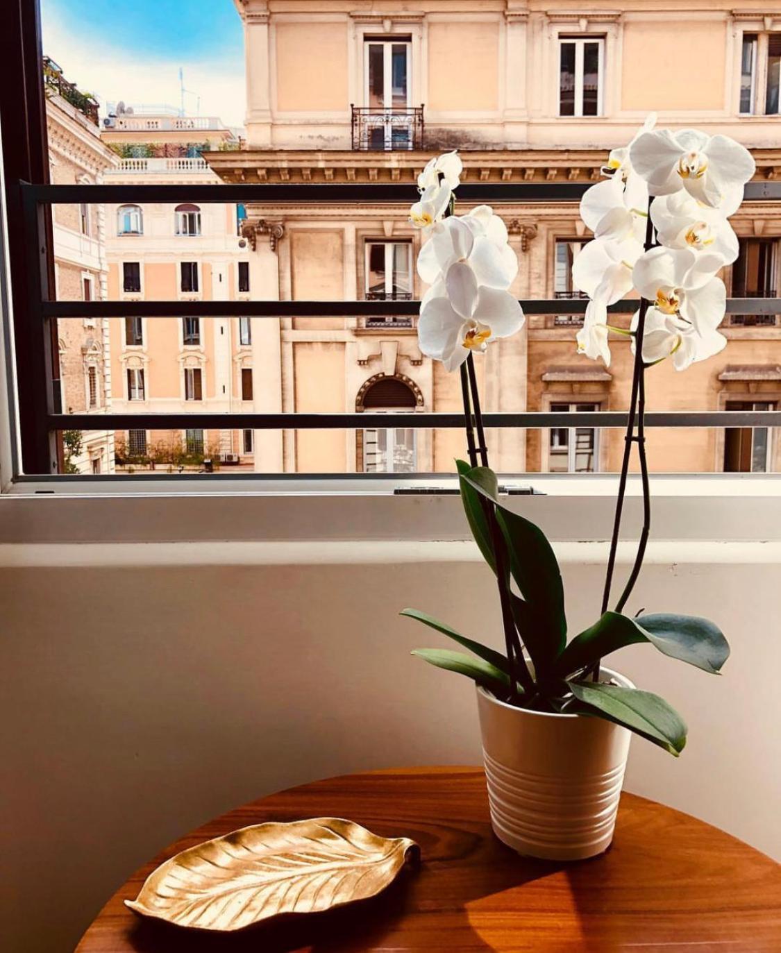 900 Piazza Del Popolo Frühstückspension